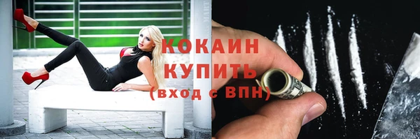 крисы Верхний Тагил