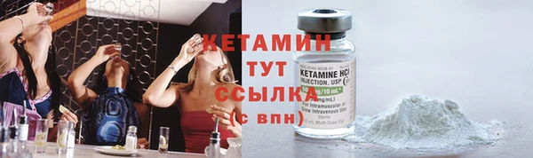 прущие грибы Александровское