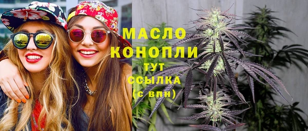 прущие грибы Александровское
