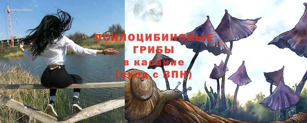 гидропоника Верея
